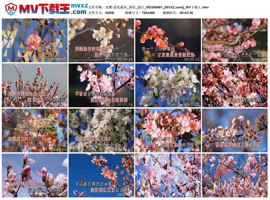 龙翼-爱化成灰_国语_流行_MD306491
